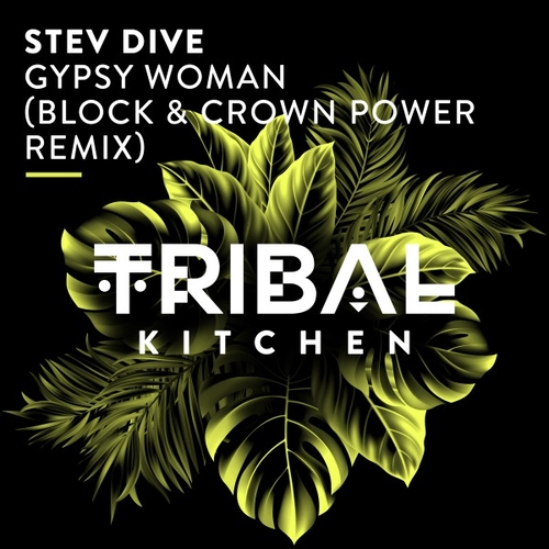 Stev Dive - Gypsy Woman (Block & Crown Power Remix) [TK256]